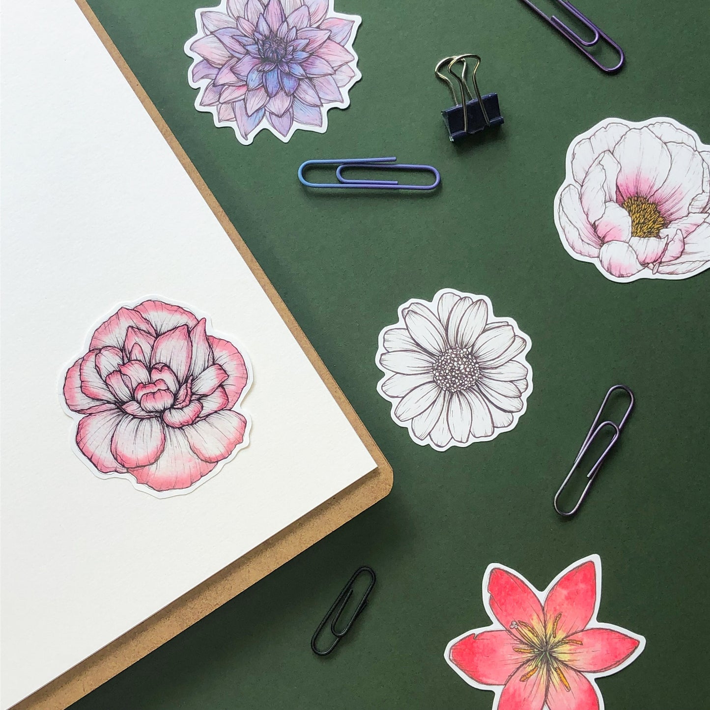 Carnation Flower Sticker