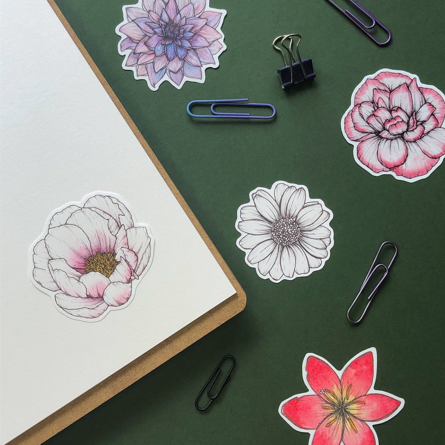 Peony Sticker
