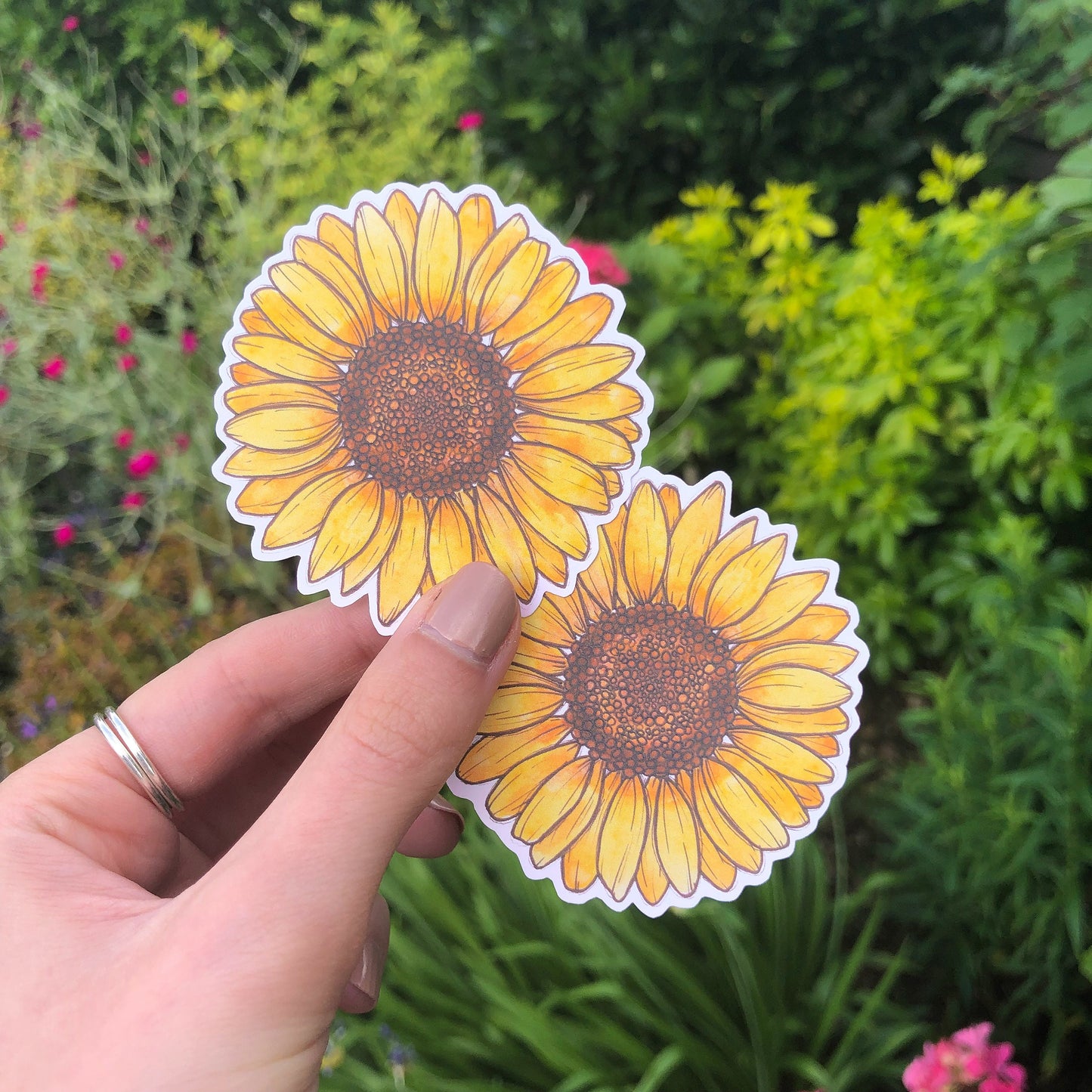 Sunflower Sticker
