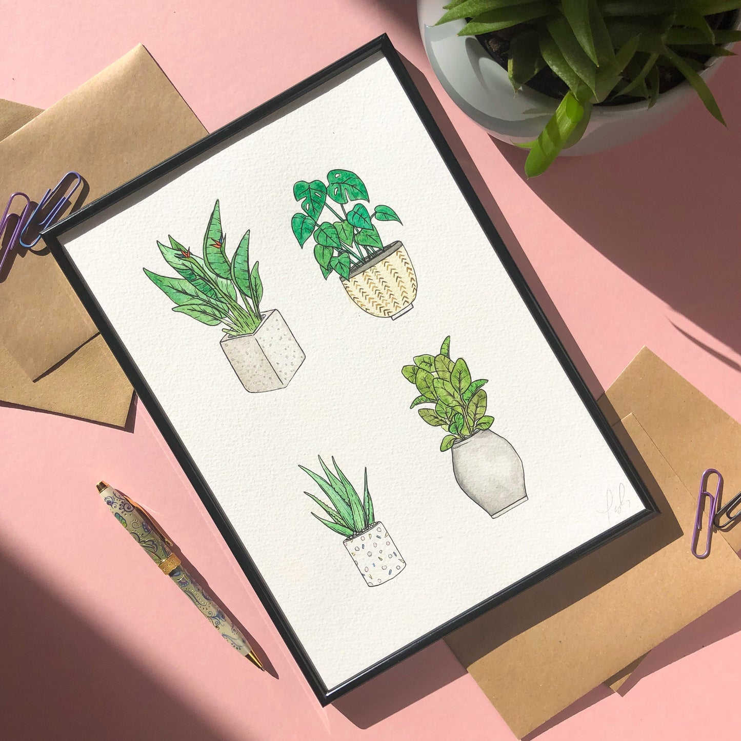 House Plants A4 Print