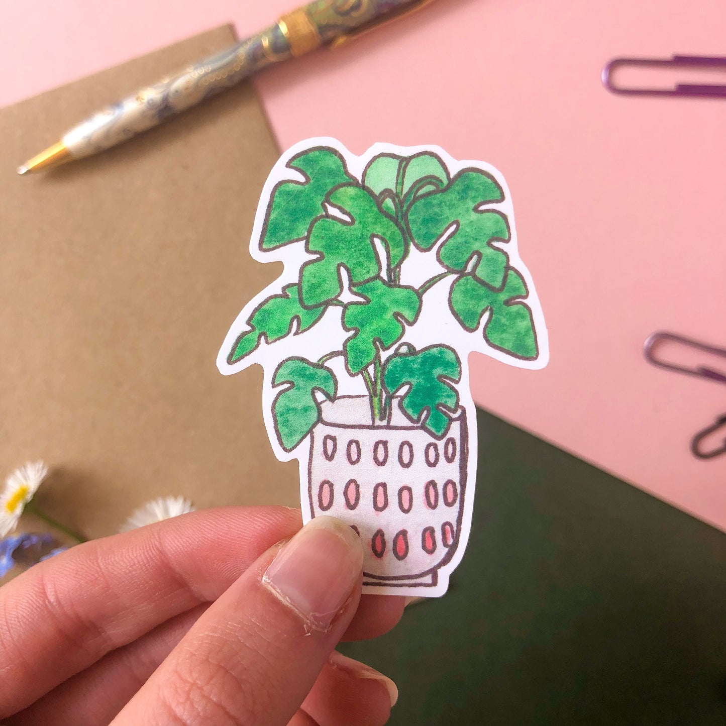 House Plants Sticker Pack of 5 - Monstera, Snake Plant, Philodendron, Aloe Vera