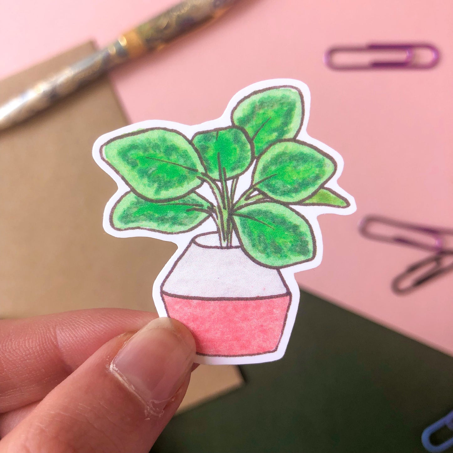 House Plants Sticker Pack of 5 - Monstera, Snake Plant, Philodendron, Aloe Vera