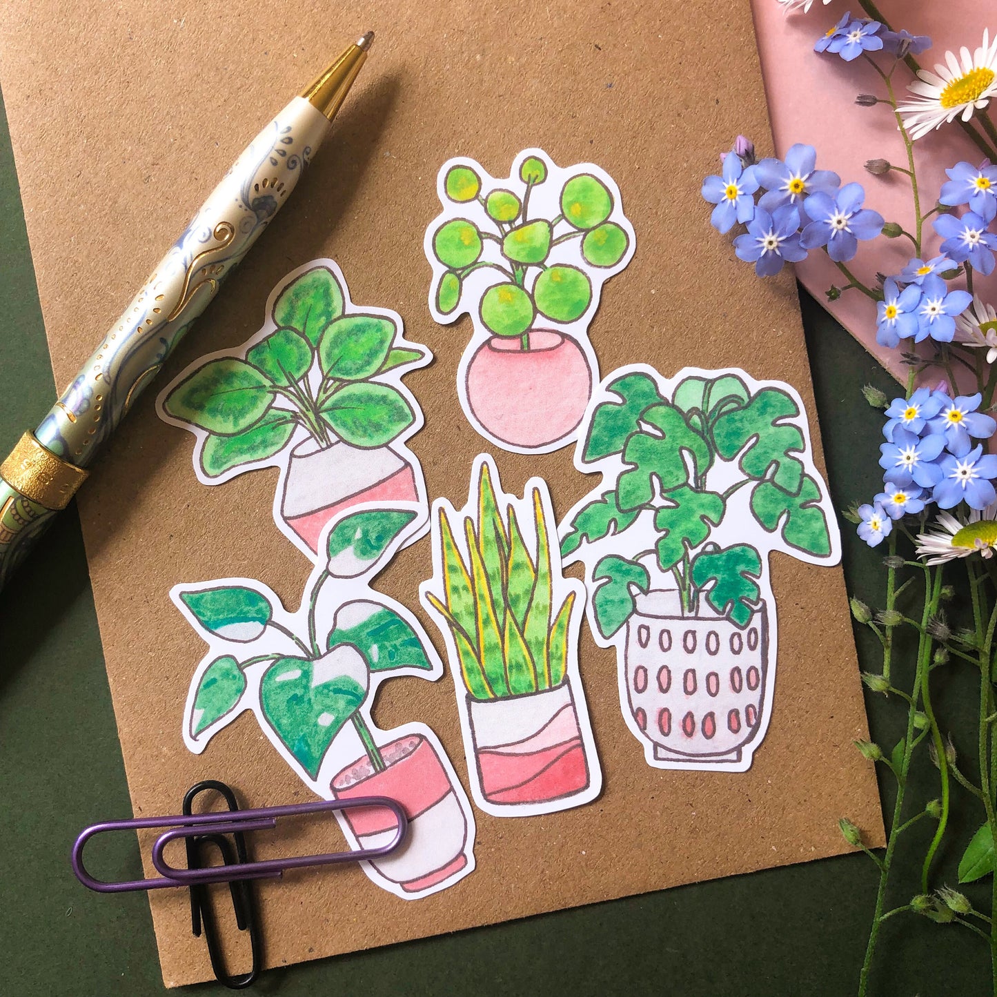 House Plants Gift Set
