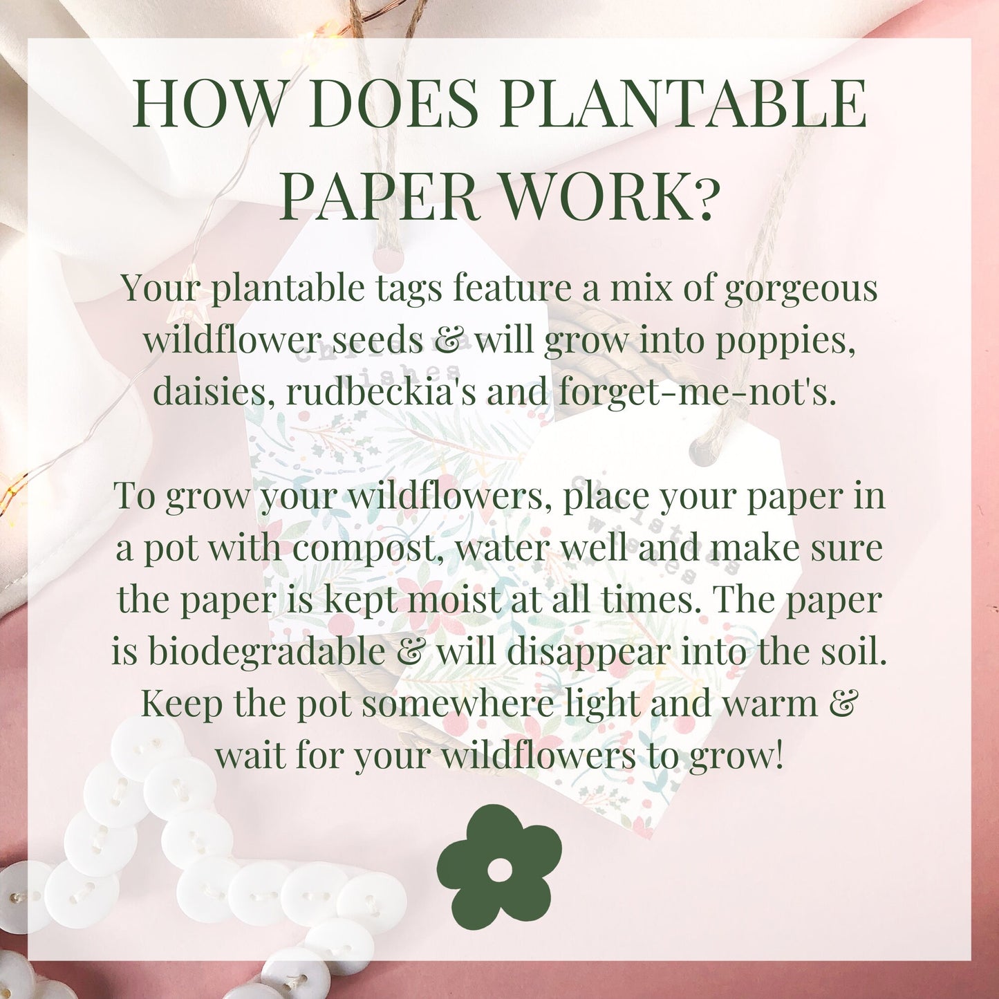 Winter Animals Gift Tags | Pack of 6 Plantable, Recycled Christmas Gift Tags