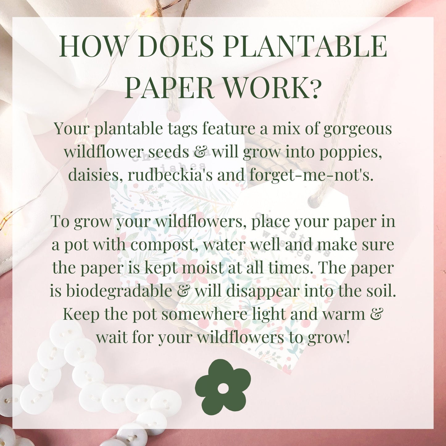 Christmas Wishes Gift Tags | Plantable, Recycled Tags