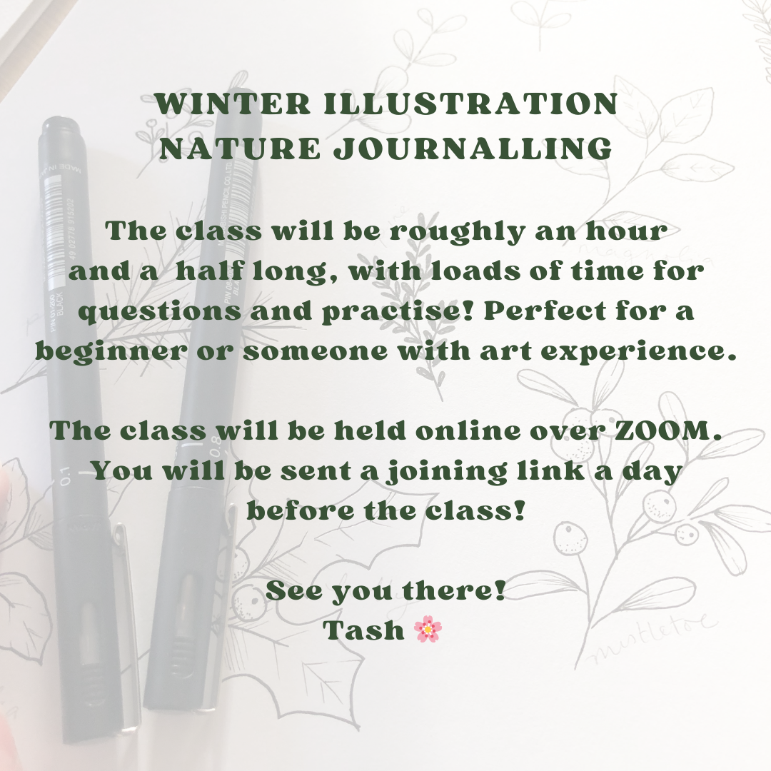 Online Art Class: Winter Illustrations Nature Journalling!