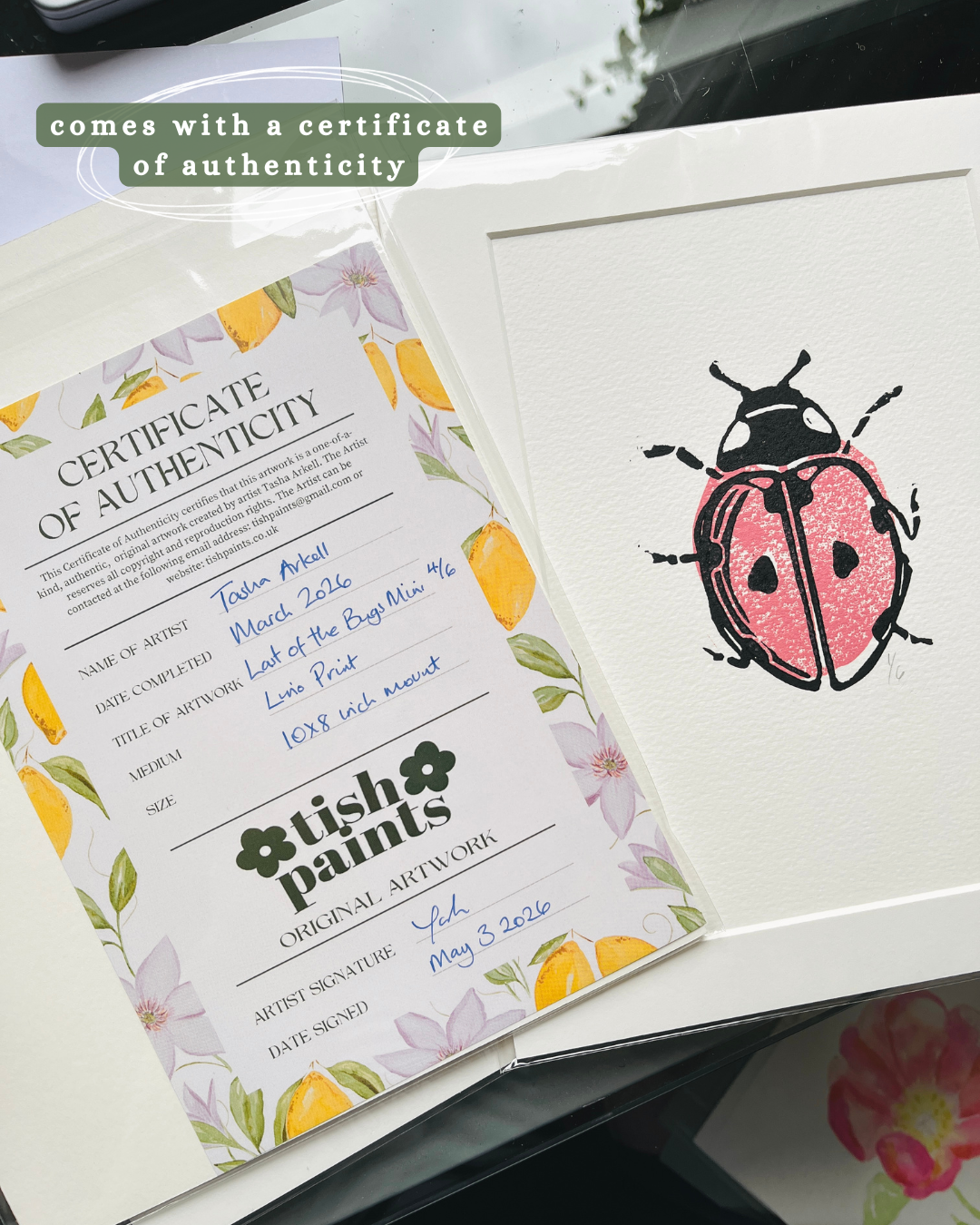 Ladybug Mini A5, Last of the Bugs Small Lino Print Artwork