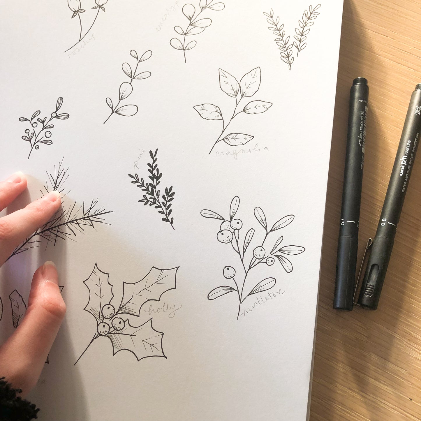 Online Art Class: Winter Illustrations Nature Journalling!