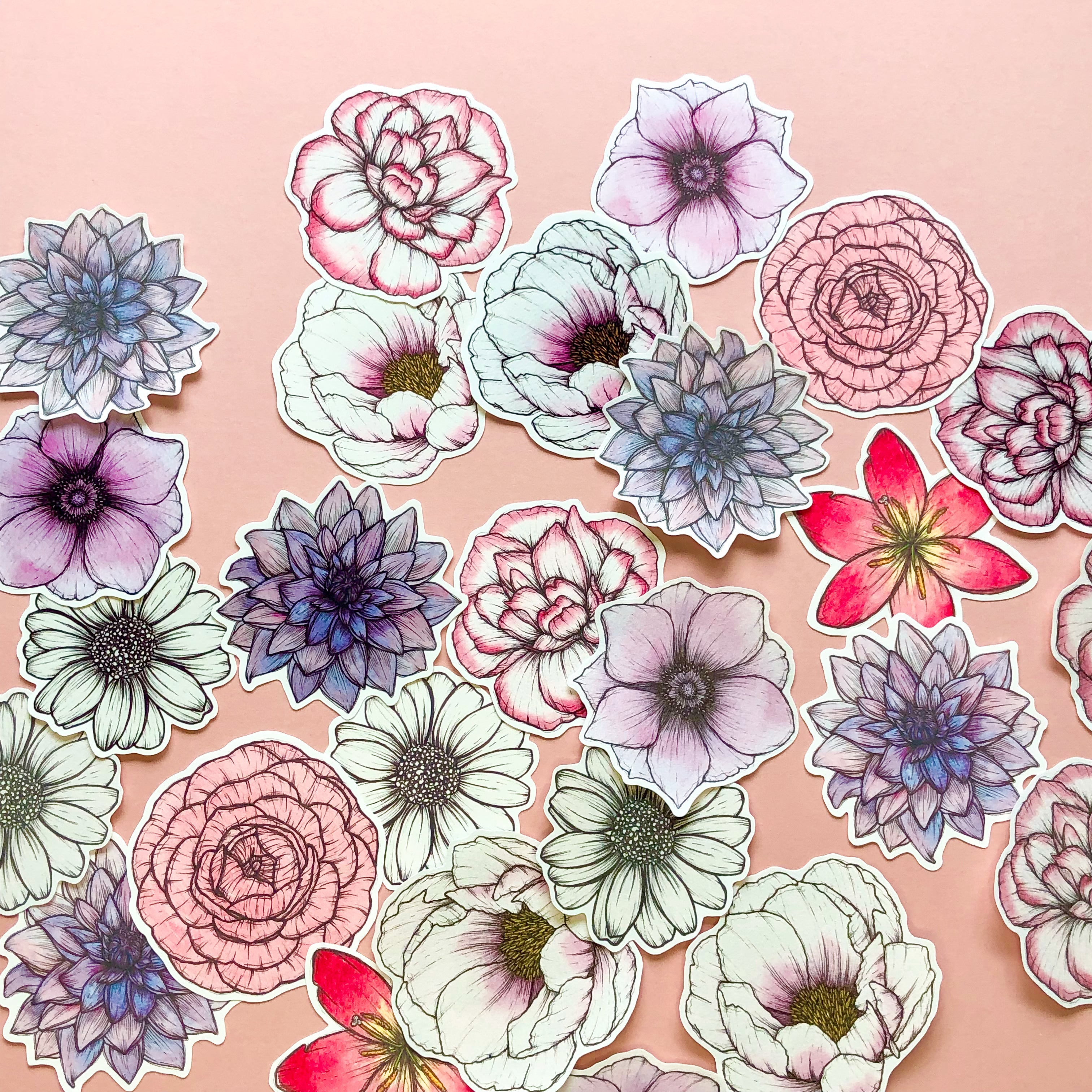 a collection of watercolour flower stickers on a pink background. each sticker is bold and colourful, and of a different flower such as a peony, dahlia, lily. tishpaints flower stickers are eco friendly, printed on matte vinyl & 7 by 7cm in size.