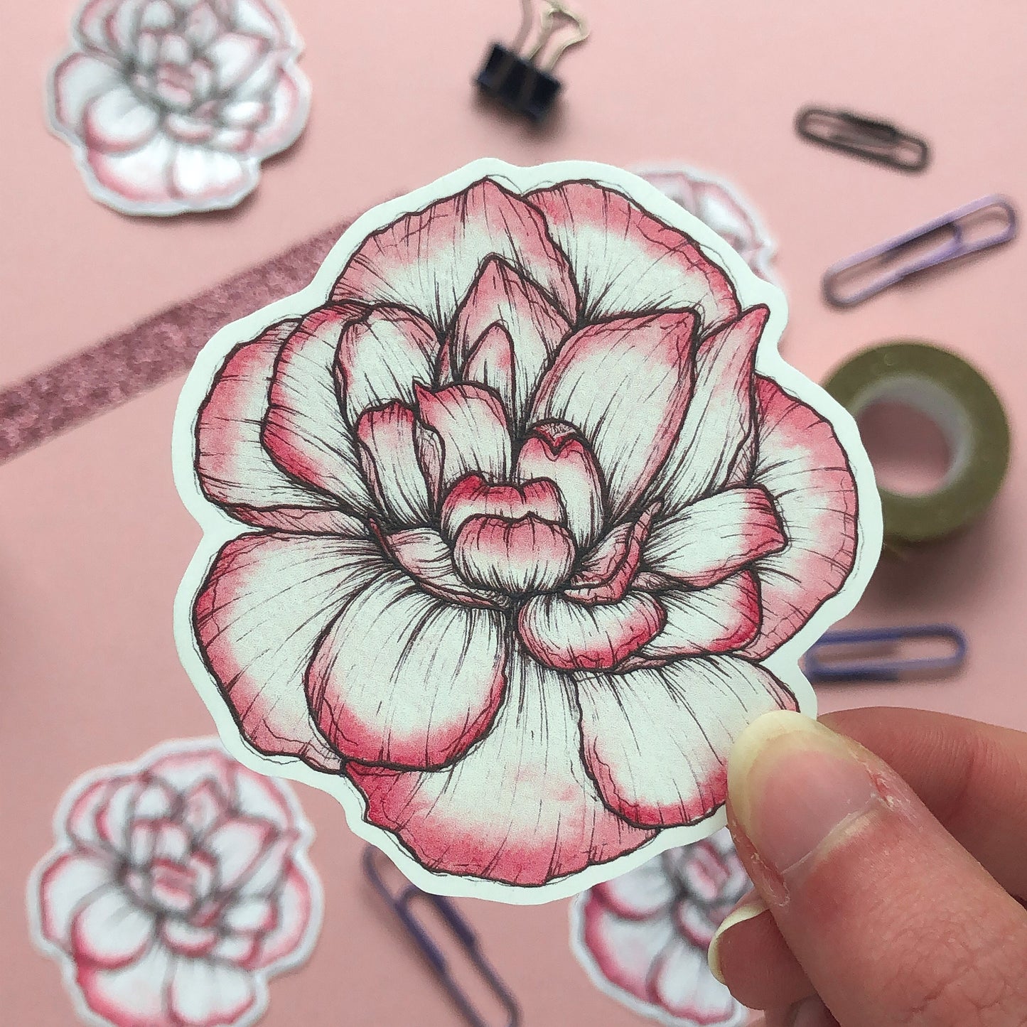 Carnation Flower Sticker