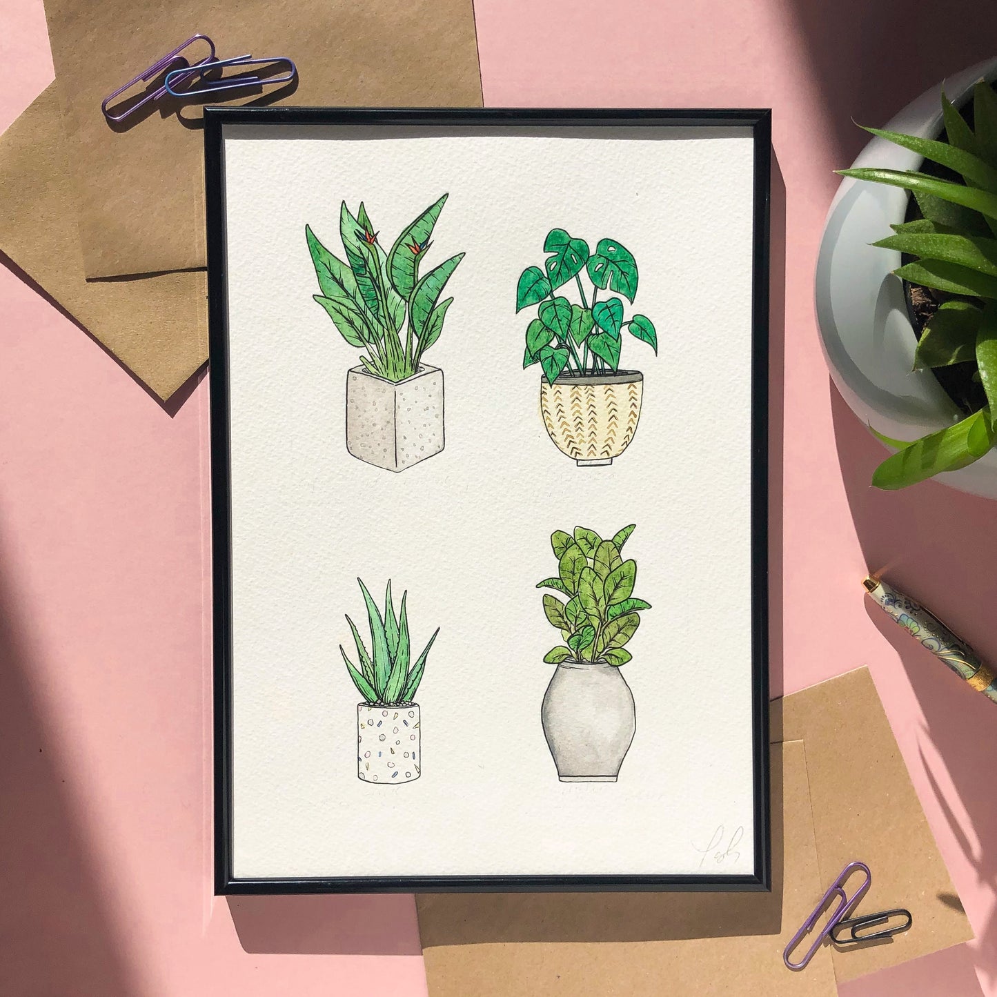 House Plants A4 Print